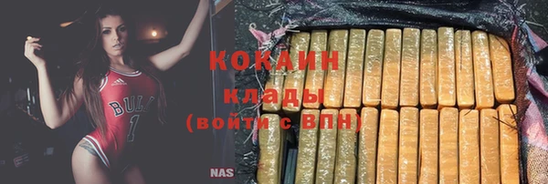 мдпв Волоколамск