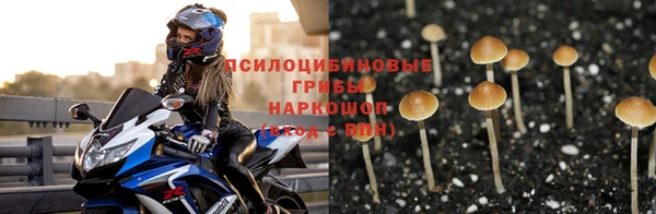 ПСИЛОЦИБИНОВЫЕ ГРИБЫ Володарск