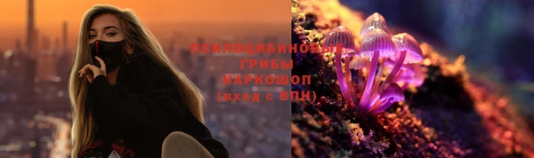 ПСИЛОЦИБИНОВЫЕ ГРИБЫ Володарск