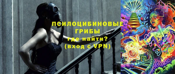 мдпв Волоколамск