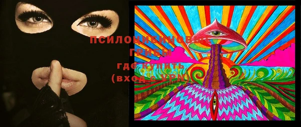ешки Волосово
