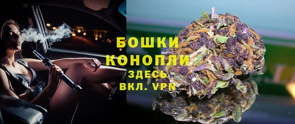 мдпв Волоколамск